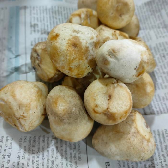 

LUXEHEALTH- Jamur Merang Segar 250Gr