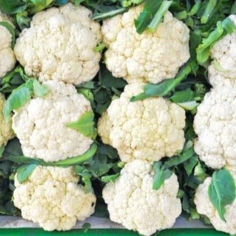 

LUXEHEALTH- Kembang Kol 1Kg