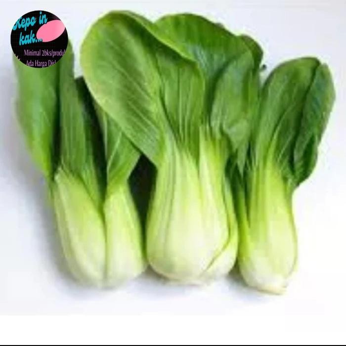 

LUXEHEALTH- Pakcoy 1 Kg / Pakchoy Pokcoy Sawi Sendok Besar Sayuran Segar Fresh