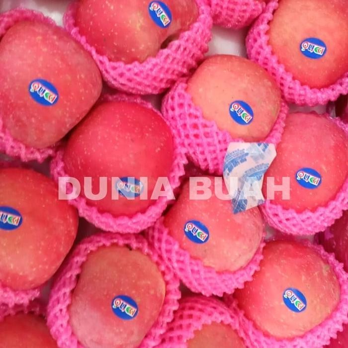 

APEL FUJI KEMASAN 4KG