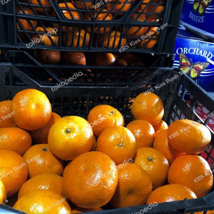 

jeruk mandarin 1000 gram