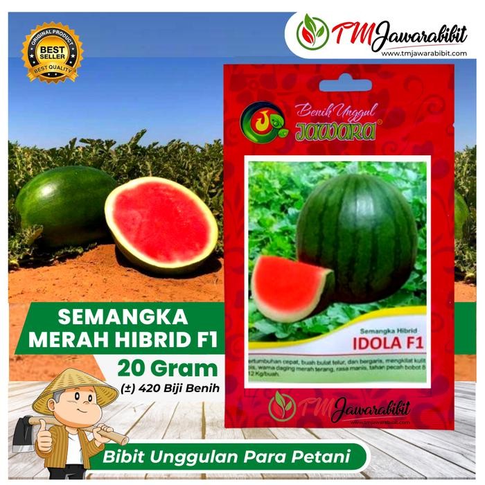 ISI 20 GRAM BIBIT SEMANGKA IDOLA F1 ( non biji ) PRODUK JAWARA