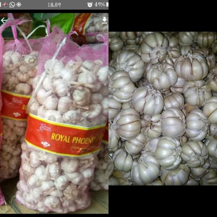 Pilihan- Bawang Putih Honan Kotor