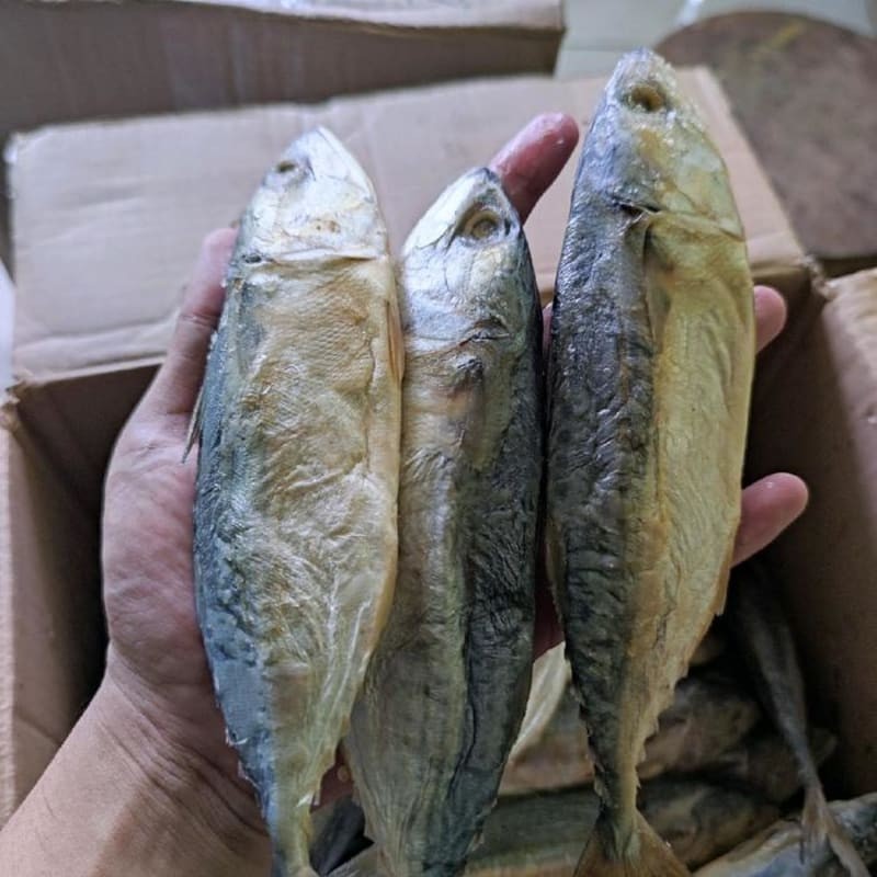 

Ikan Asin Peda/Banyar Khas Medan 500gr (Size 3-5)