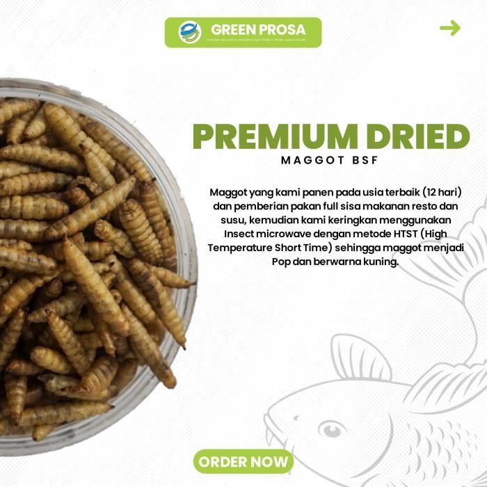 Mr Maggot BSF - Maggot/Magot Kering 1kg