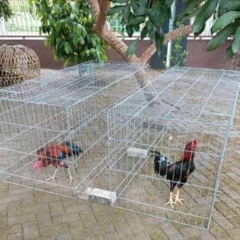 KANDANG AYAM GALVANIS LIPAT Panjang 3 m / KURUNGAN UMBARAN AYAM JAGO