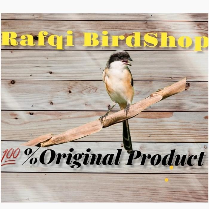 pentet bahan jatim mulus pilihan jantan rawatan