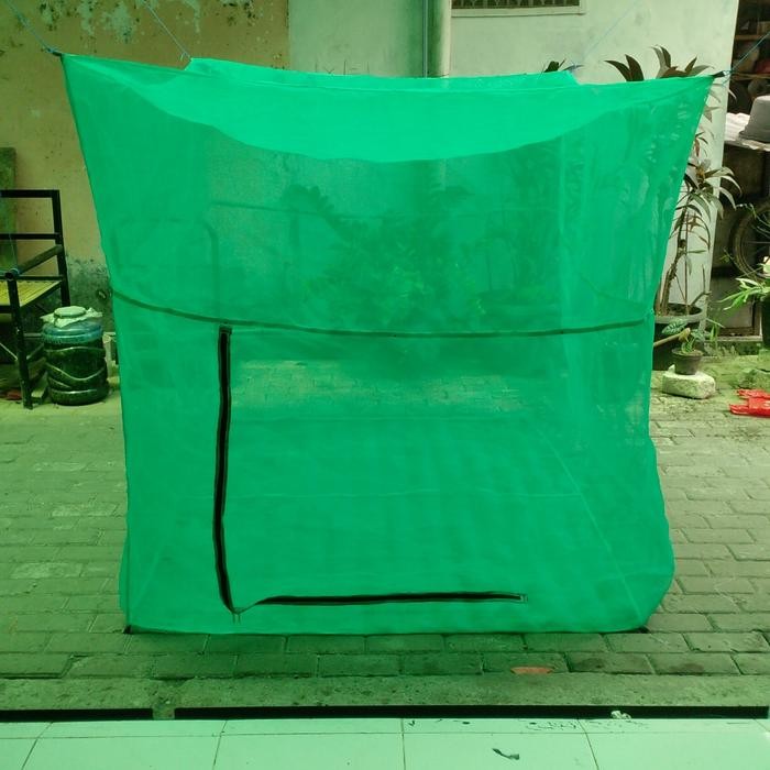 Kandang Magot Lalat BSF 2x2x2m