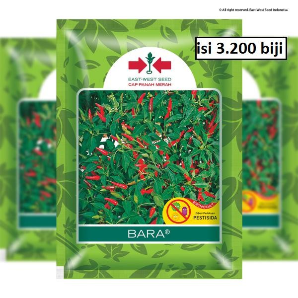 

Terbaru Benih Cabai Bara Cap Panah Merah Isi 3200 Biji Unggul