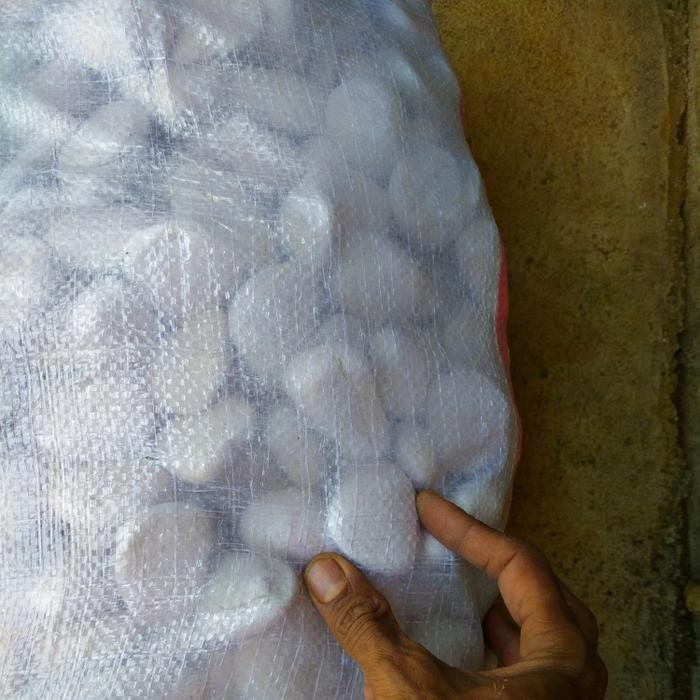 batu taman koral karung