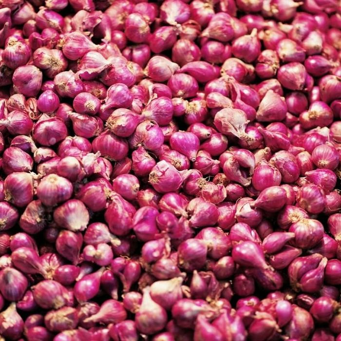 

Bawang Merah Besar 500 gr Terlaris