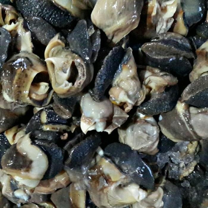 

(Expert) Daging Bekicot 02 Jumbo Eksport Quality
