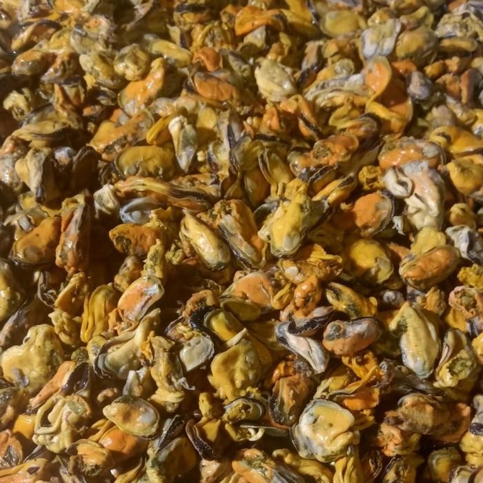 

(Expert) Kerang Hijau Tanpa Cangkang 250 Gram