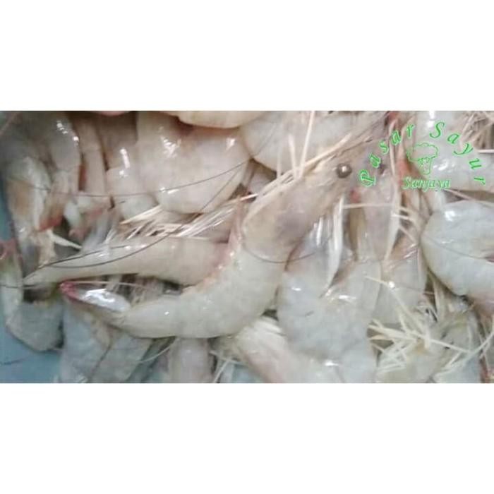 

(Expert) Udang Segar / Udang / Urang / Udang Fresh