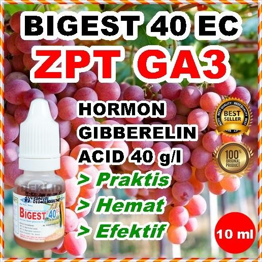 (Expert) GA3 Bigest 40 EC 10 ml Hormon Giberelin Acid ZPT Tanaman Buah Anggur