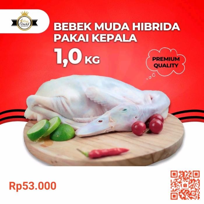 

[1KG]Daging Bebek Hibrida Fresh / Frozen New