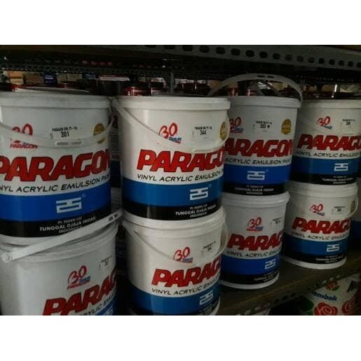 Expert Cat Paragon 5 kg. Paragon galon warna