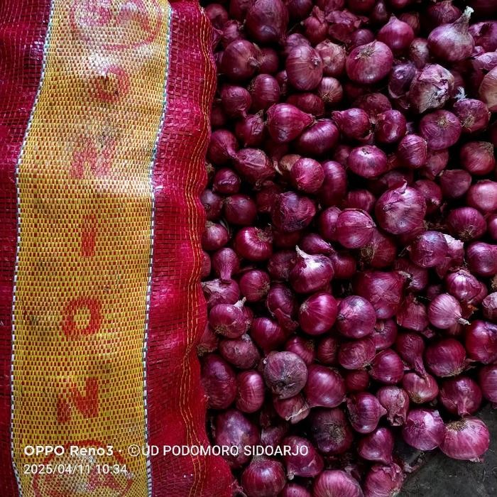 

PREMIUM bawang merah india 1 kg kering berkualitas
