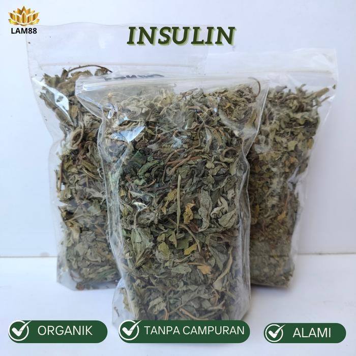 

PREMIUM Daun Insulin Kering - Herbal Untuk Diabetes