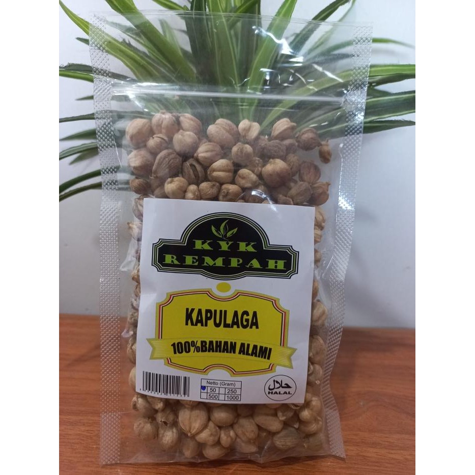 

Kapulaga Asli [ 50 Gram ]