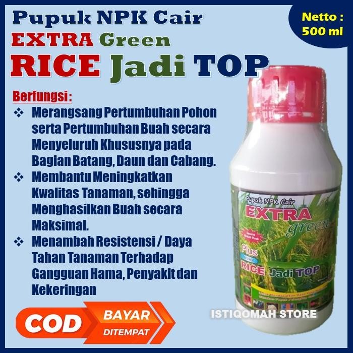 Pupuk Penyubur Anakan Tanaman Padi Jadi Banyak Dan Subur Rice Jadi Top