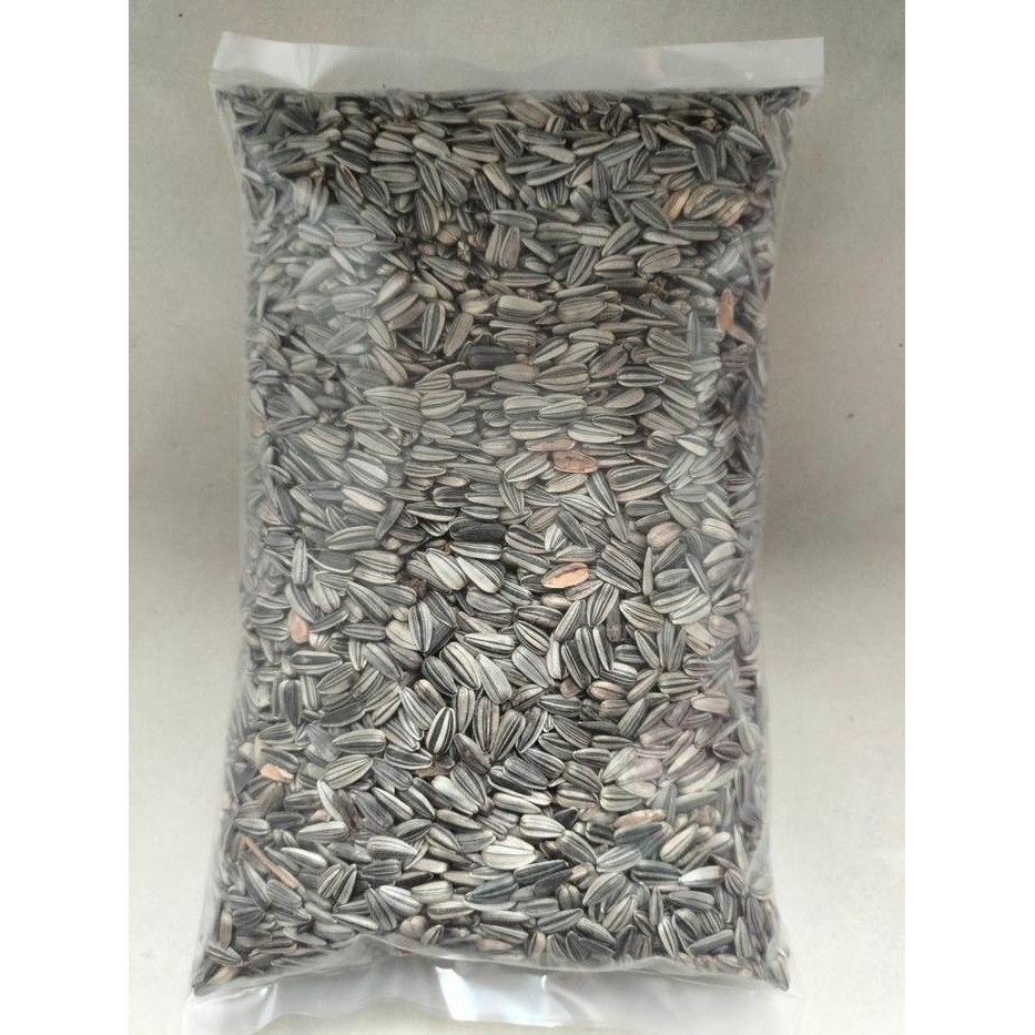 KHUSUS GOSEND 1 KG KUACI KWACI SUNFLOWER BIJI BUNGA MATAHARI PAKAN MAKANAN HAMSTER BURUNG IMPORT