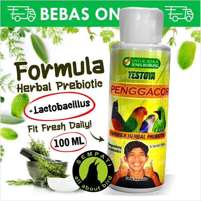 Yestoya formula herbal probiotik vitamin penggacor burung murai kacer