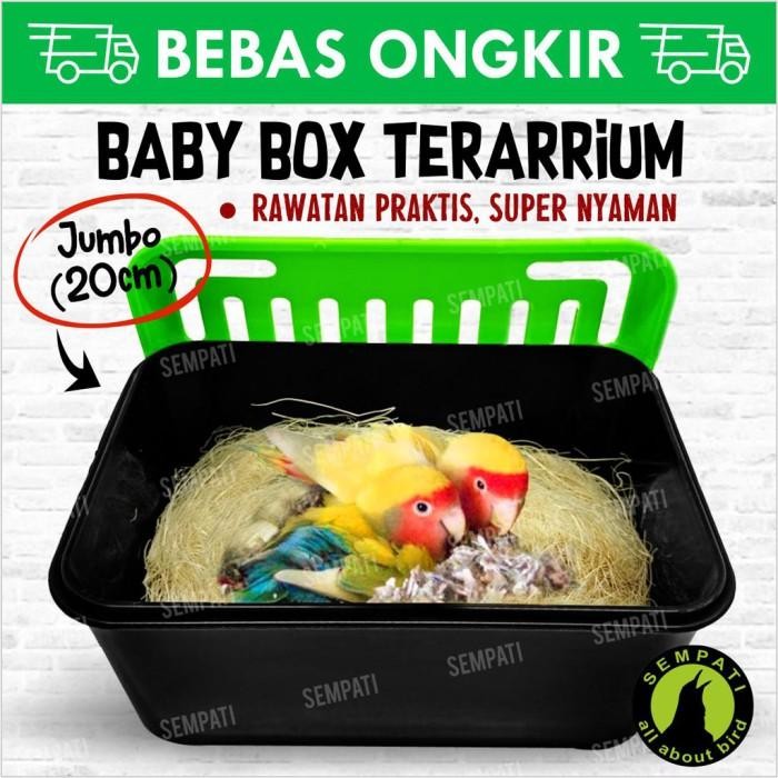 BABY BOX WADAH UNTUK ANAKAN BURUNG LOVEBIRD MURAI KENARI KACER DLL