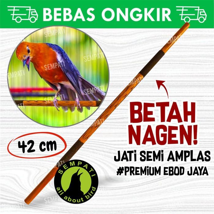 TANGKRINGAN SANGKAR BURUNG ANIS JATI EBOD JAYA