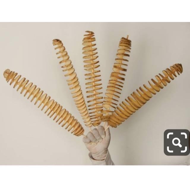 Colgate - paket alat kentang spiral lengkap