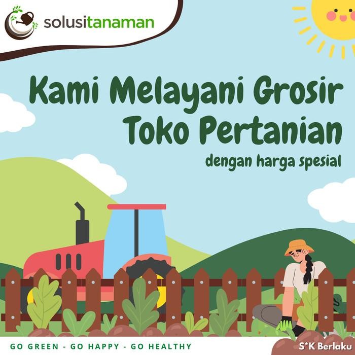 [Expert] Obat Hama Clinten @ 100 ml Fungisida Pembasmi Hama Jamur pada Tanaman