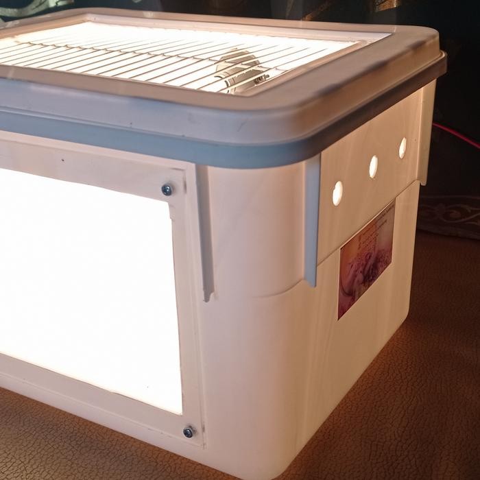 Box Terrarium lolohan burung