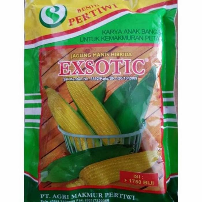 benih jagung manis EXSOTIC