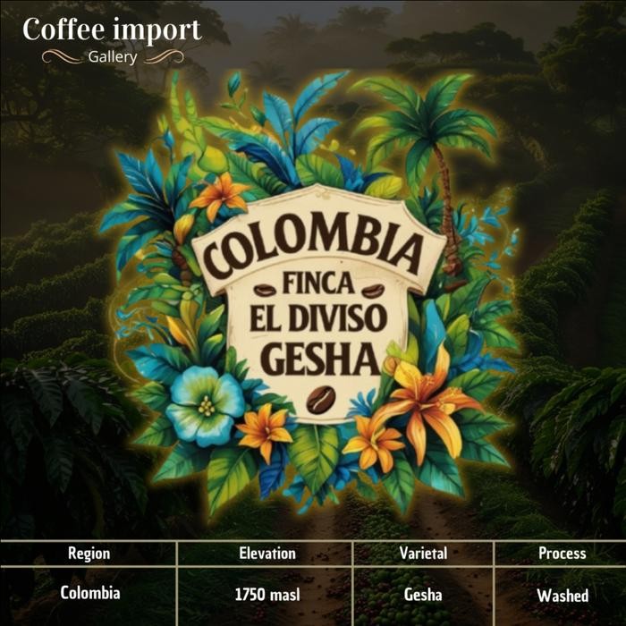 

COLOMBIA FINCA EL DIVISO GESHA WASHED GREEN BEAN IMPORT ARABIKA 500GR