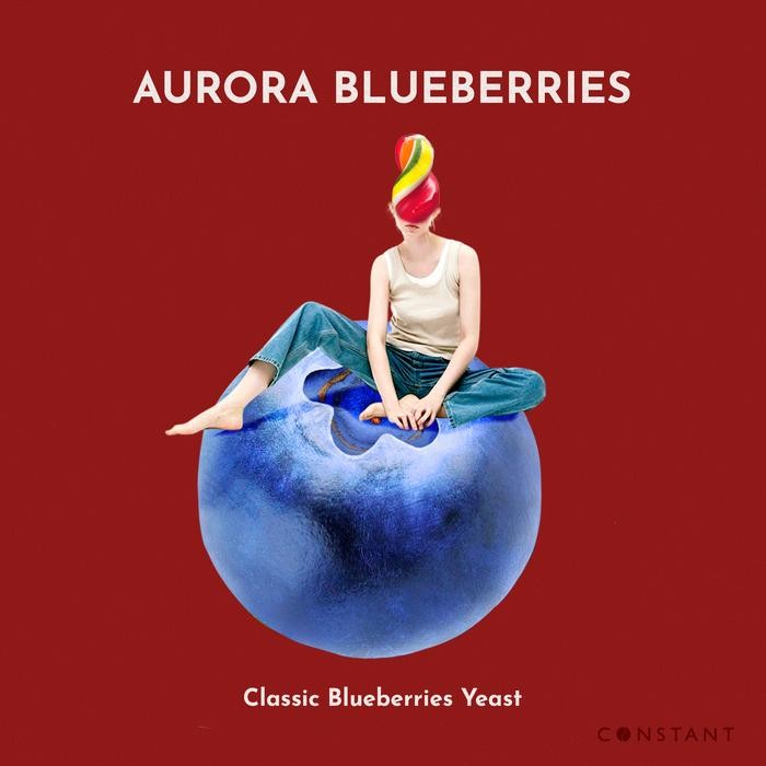

BIJI KOPI SPECIALTY AURORA BLUEBERRIES - CONSTANT BEANS