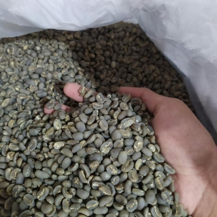 

GREEN BEAN / ARABIKA TORAJA PULU - PULU - WETHULL PROSES SEMIWASH