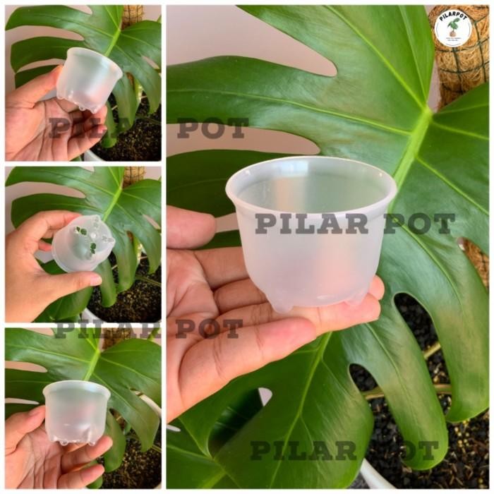 [Expert] pot bunga tanaman mini nkt panda 06 bening transparan 6cm - nkt mini