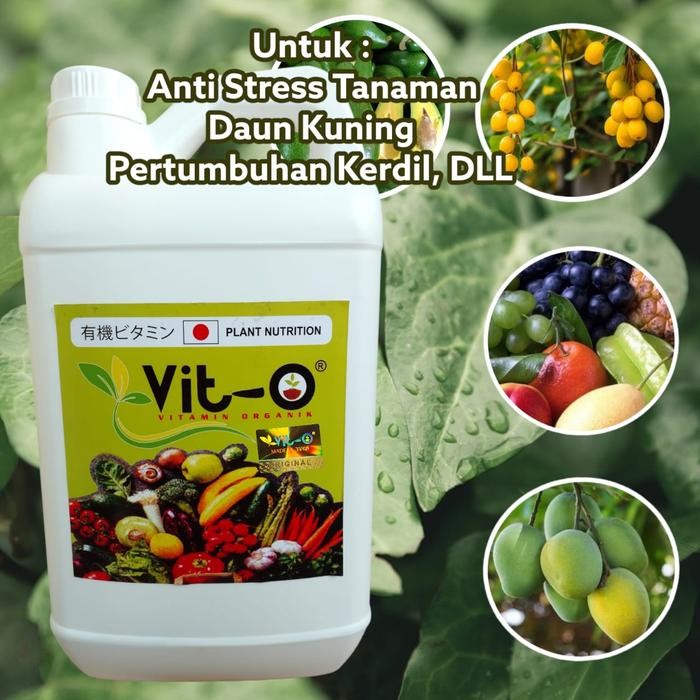 Pupuk Vit O Bahan Organik Plant Nutrition 5 Liter Untuk Semua Tanaman
