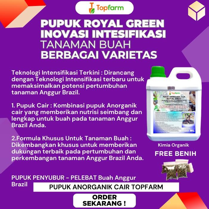 Pupuk Anggur Brazil / Pupuk Penyubur Tanaman Anggur / Pupuk Pohon Anggur / Pupuk Hijau Daun Anggur /