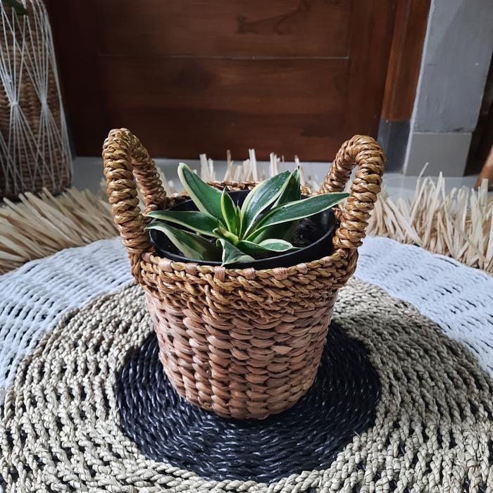 PREMIUM Pot Mini Anyaman Eceng Gondok.