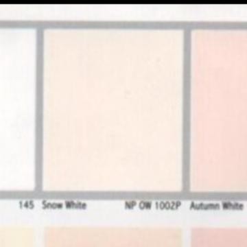 CAT TEMBOK INTERIOR NIPPON VINILEX PRO 1000 SNOW WHITE - 1002 GALON