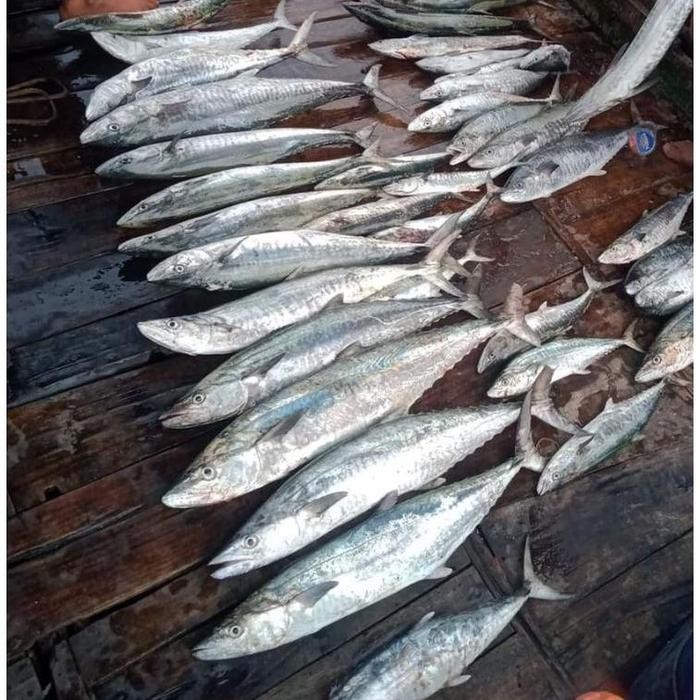 Alat Pancing"" Spoon Tenggiri 30,40,60,80 Gr ""