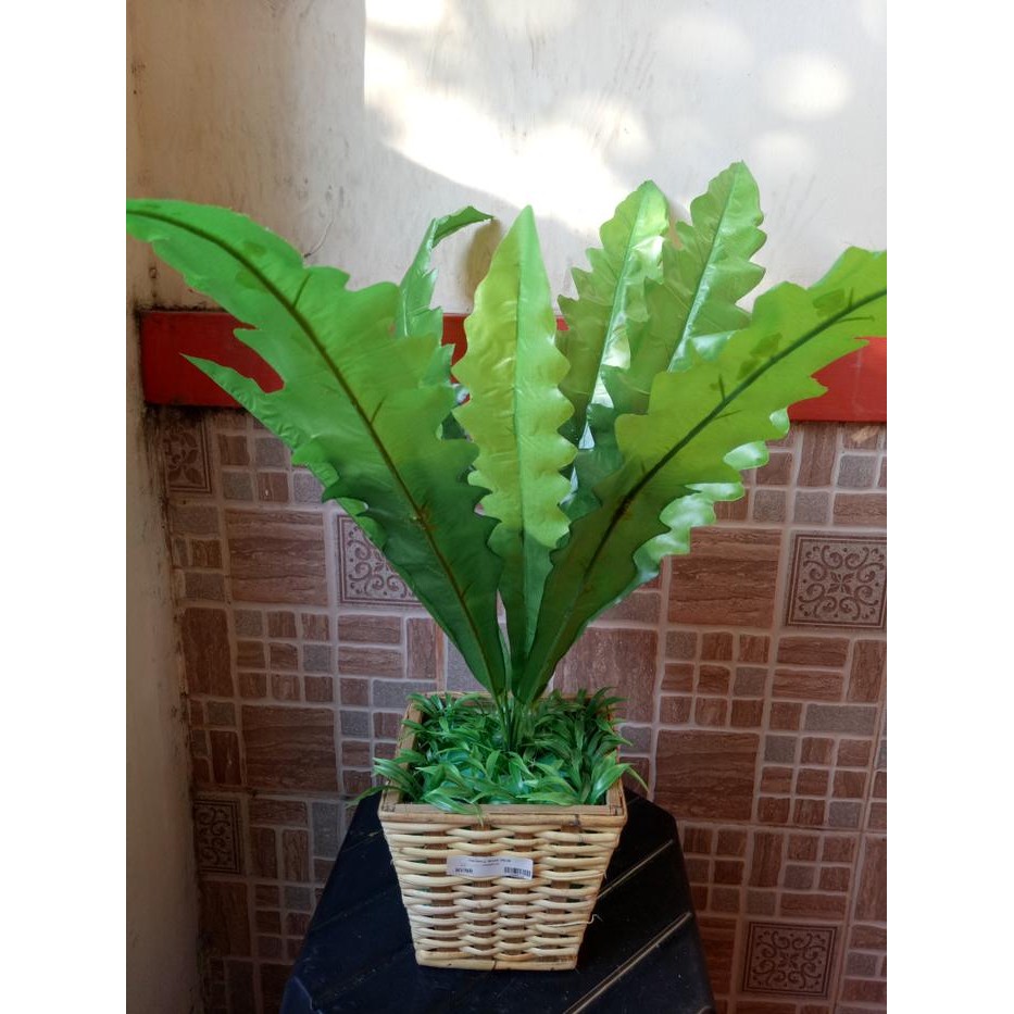 artificial daun gelombang cinta +t bakul rotan anyam