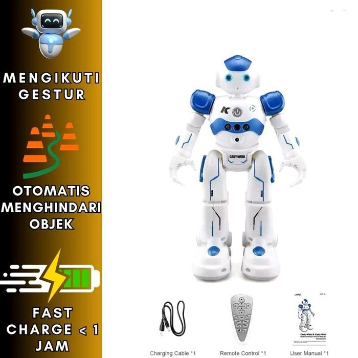 Mainan Anak Smart Robot AI
