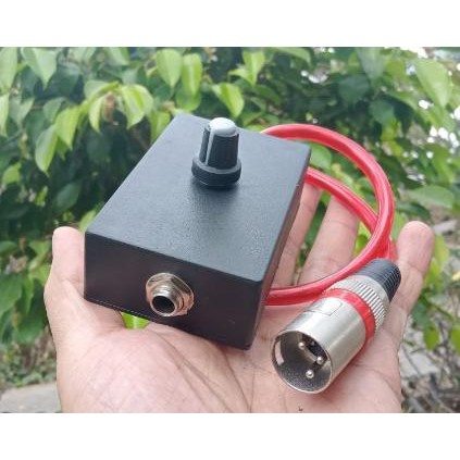 [Expert] ANTI FEDBACK/STORING MIC