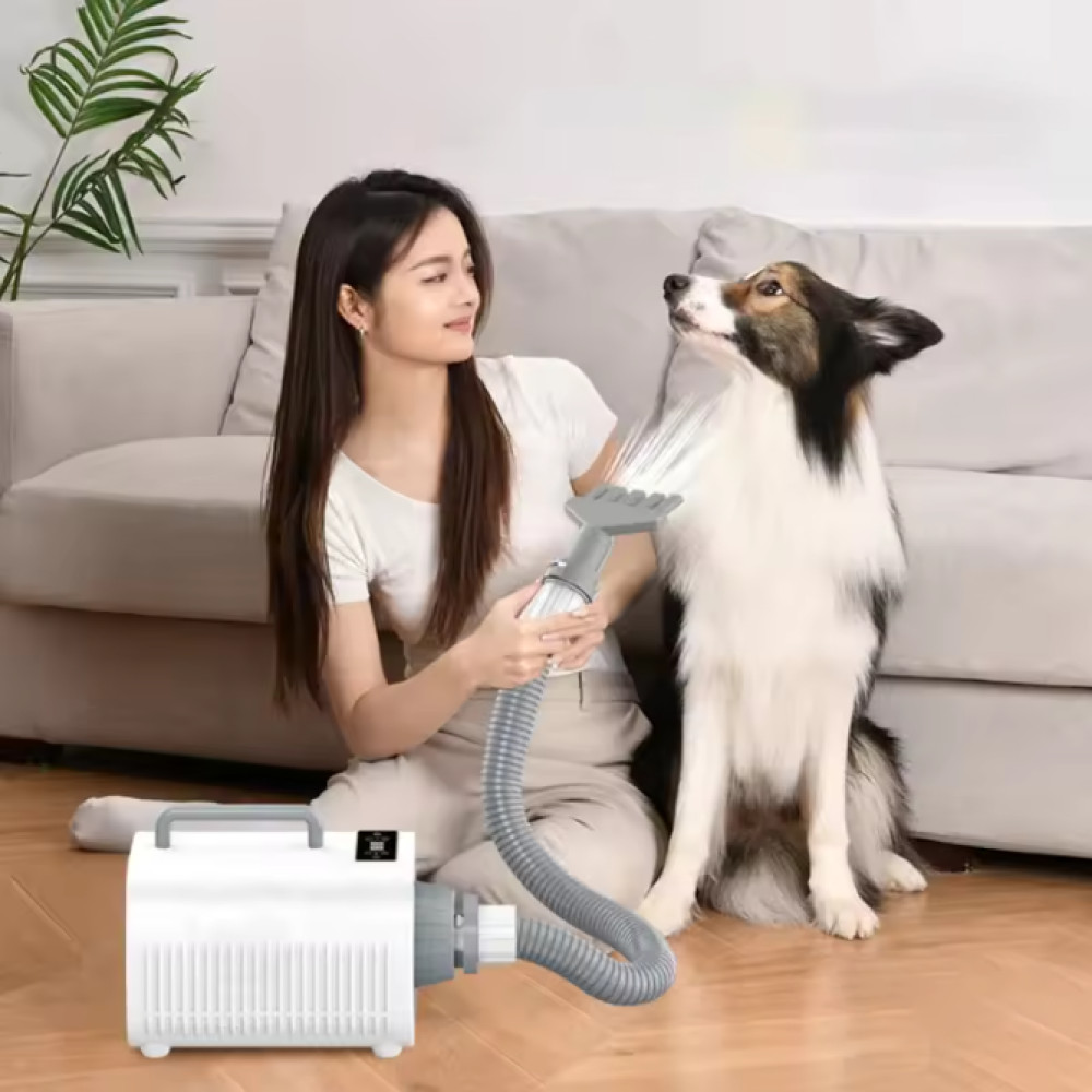 PROMO OIMG Pengering Bulu Kucing Anjing Pet Grooming Hair Dryer Blower 2000W -ZHC02 Kualitas Terbaik