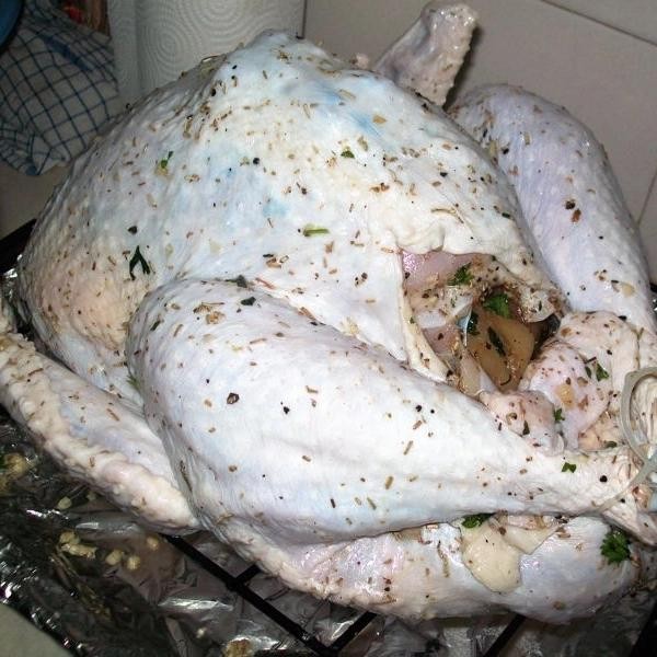 

DAGING KALKUN FRESH ATAU UNGKEP PERKILO - MINIMUM PESANAN 5 KG -