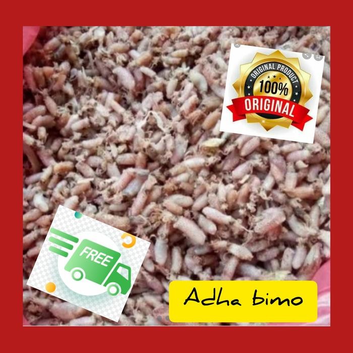 

ikan asin cumi baby/ kering/ jumbo/ empuk/ penyimpanan frezeer/ 1 kg