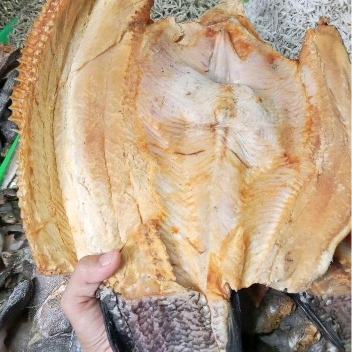 

Ikan Asin Gabus Super Kering uk besar/sedang murah 1 Kg / Ikan Asin Gabus Super Fresh
