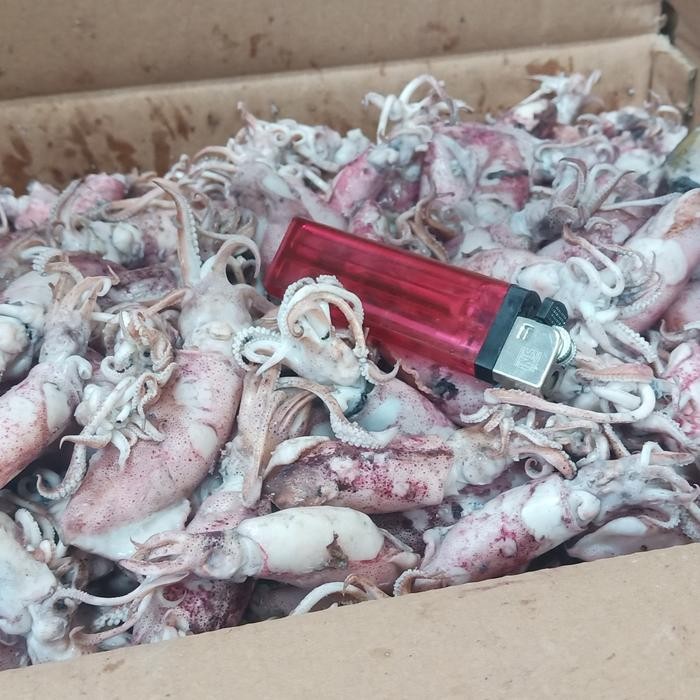 

Cumi asin 1kg/cumi asin rebus/cumi asin basa/cumi asin murah/promo